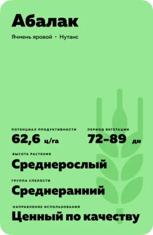 Information card of Abalak barley variety