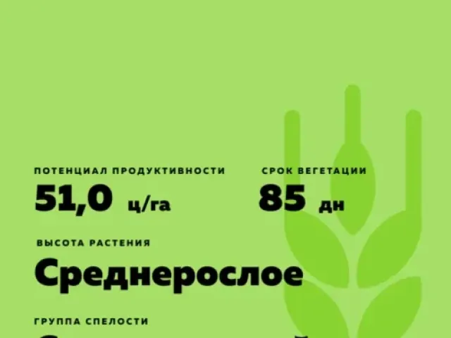 Гонар