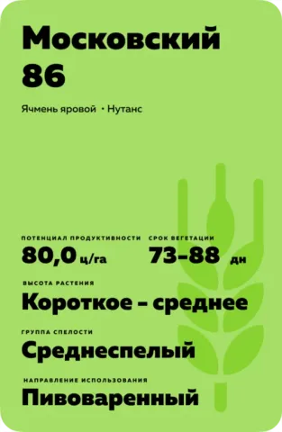 Mowskovsky 86 barley seed bag - Mironovskiy 86 / Mironivskyi 86