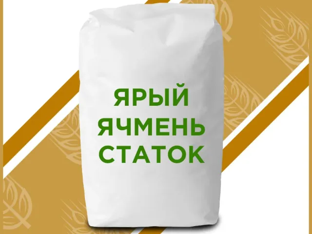 Статок